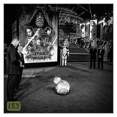 Julie Edwards Monochrome Show 2021 - BB8 takes a bow