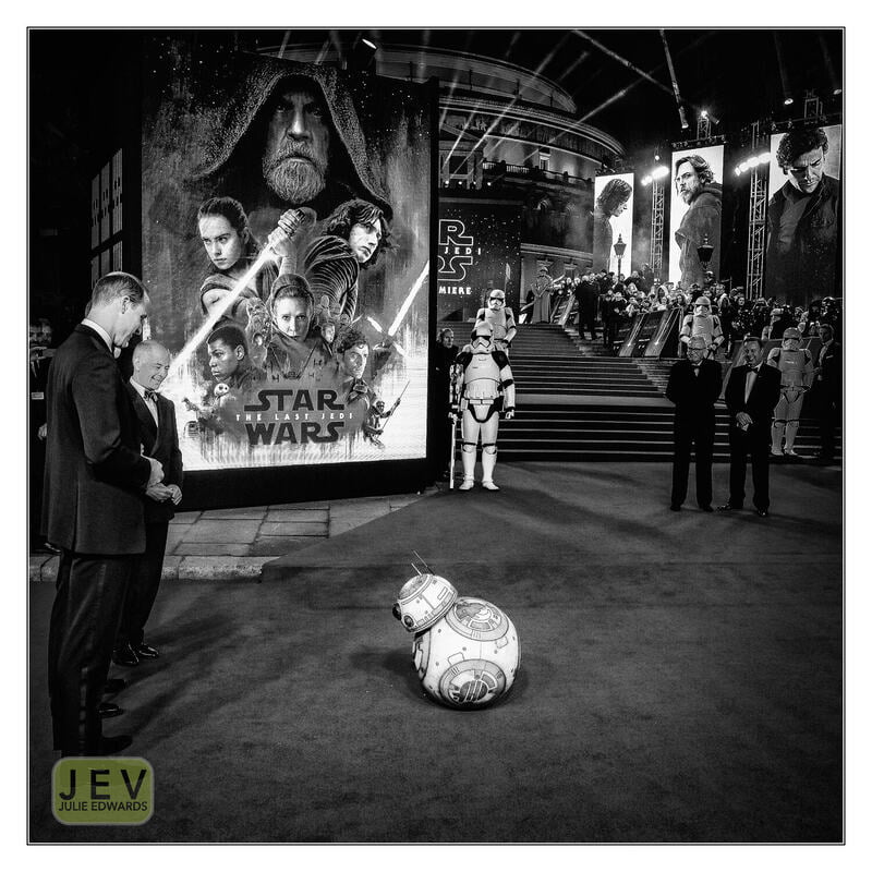 Julie Edwards Monochrome Show 2021 - BB8 takes a bow